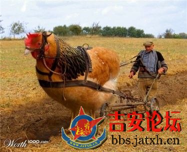 未命名.jpg