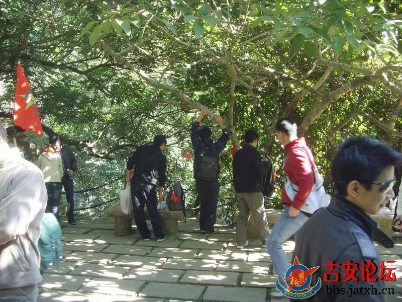 梧桐山聚会.JPG