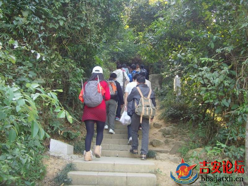 梧桐山聚会 (7).JPG