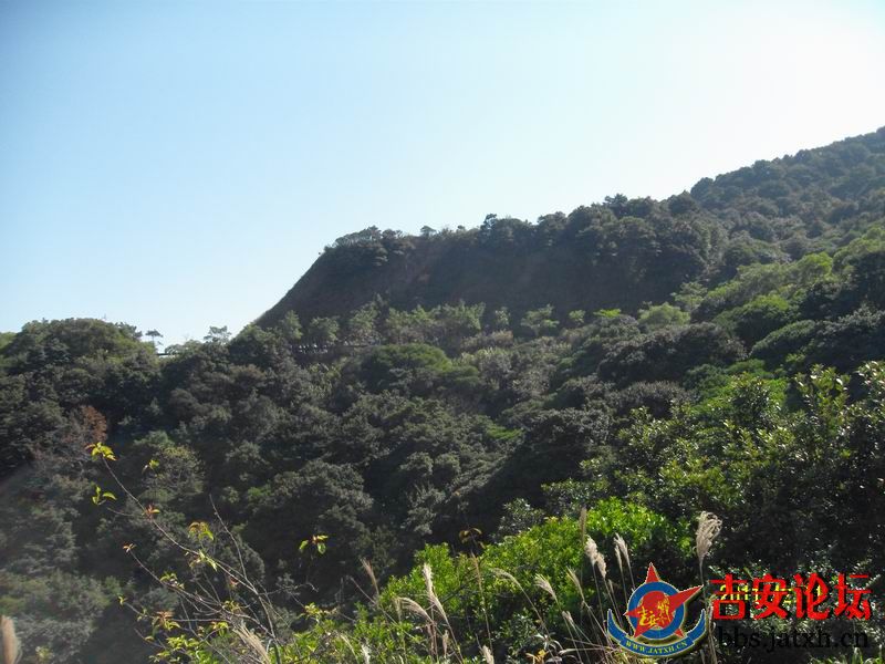 梧桐山聚会 (75).JPG