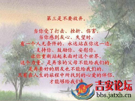 单身 有时候不一定是贵族