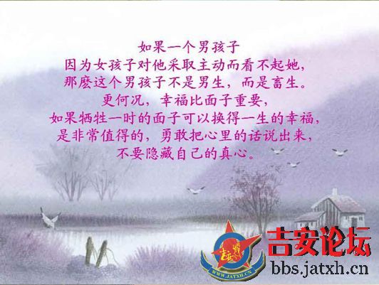 单身 有时候不一定是贵族