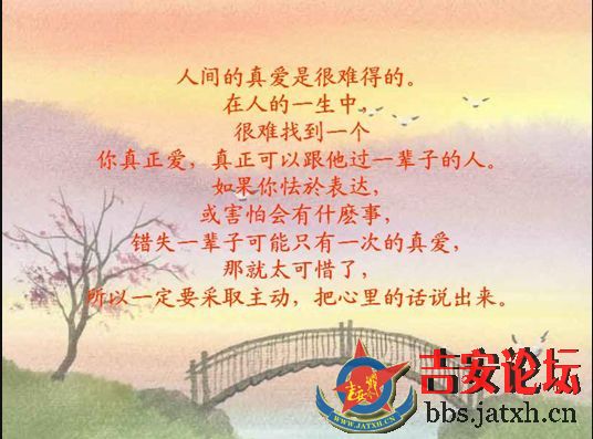 单身 有时候不一定是贵族