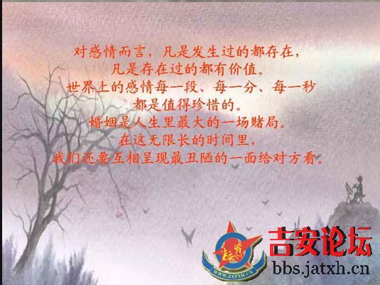 单身 有时候不一定是贵族