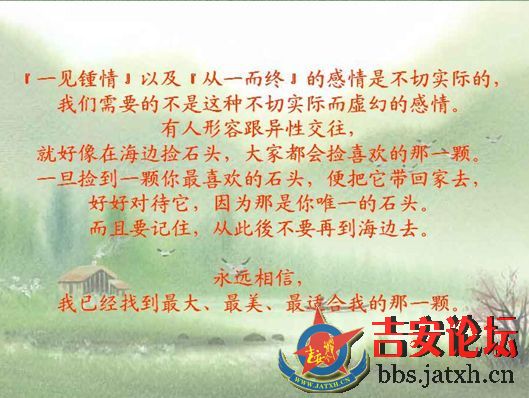 单身 有时候不一定是贵族