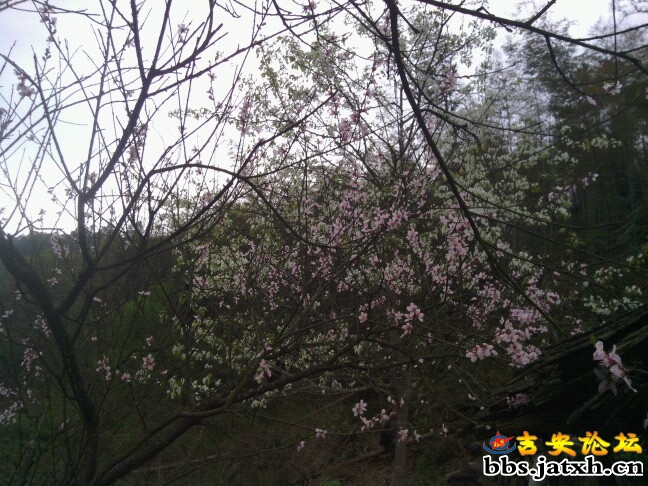 IMG20120330160449.jpg