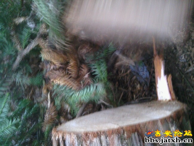 IMG20120330164610.jpg