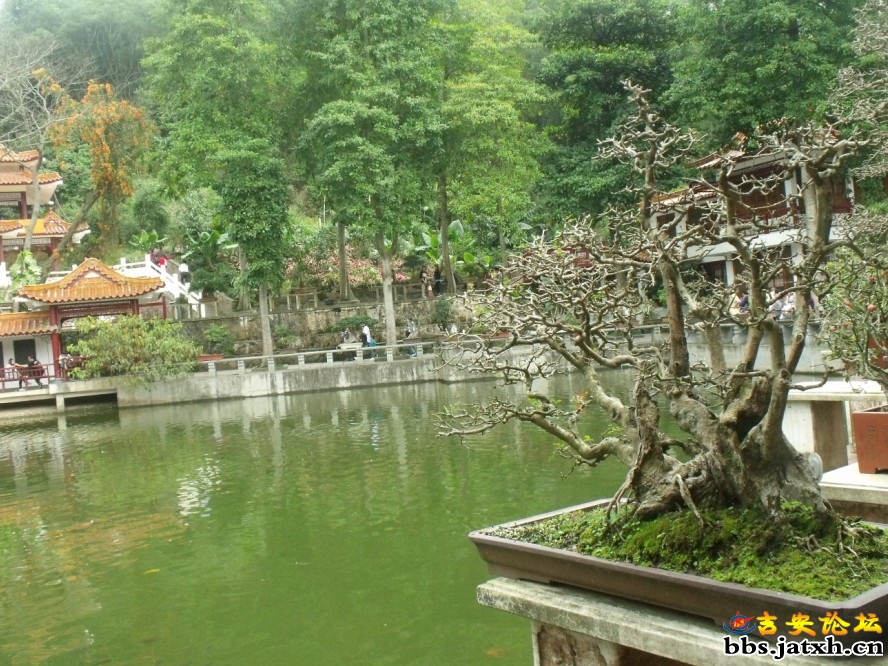 2012.3.4相约仙湖8.jpg