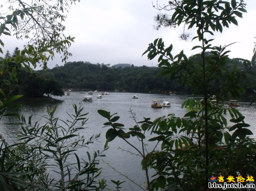 2012.3.4相约仙湖10.jpg