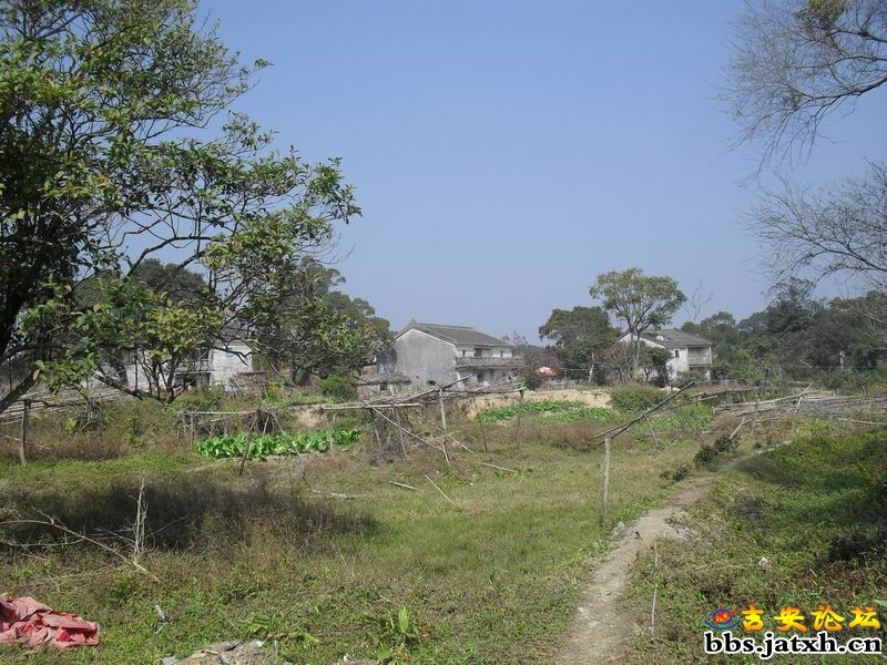 SDC12124.JPG