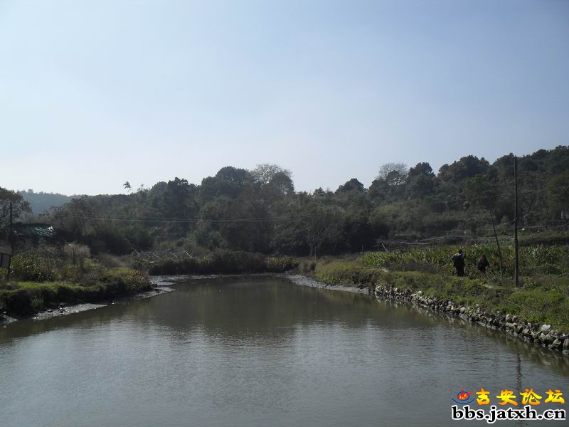 SDC12143.JPG