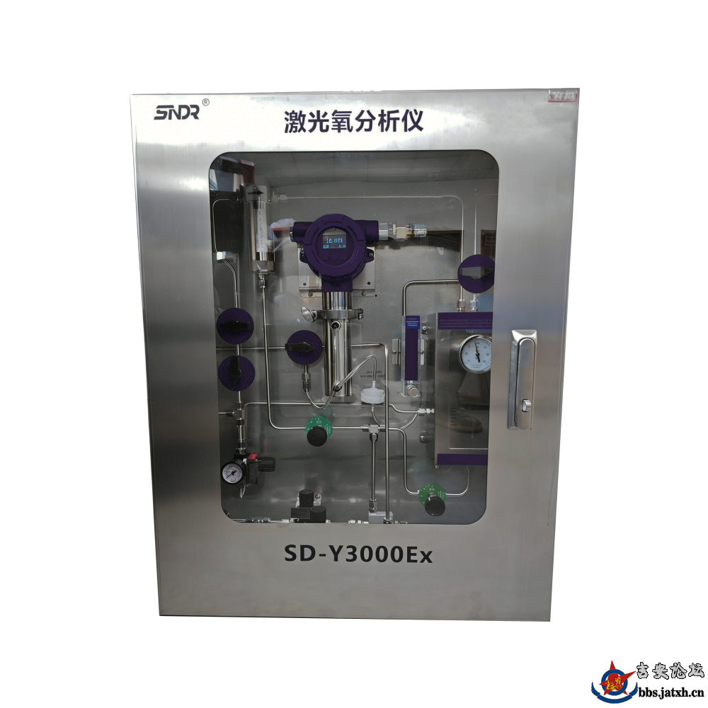 激光氧气分析仪在废气管路氧含量检测中的使用