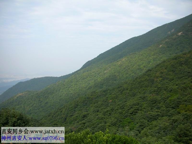 DSCN3850.JPG