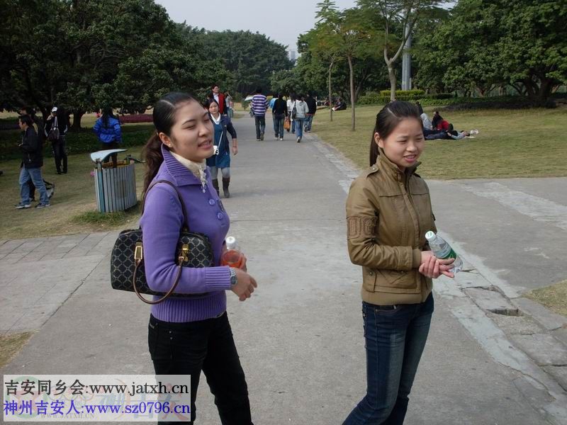 SDC10017.JPG
