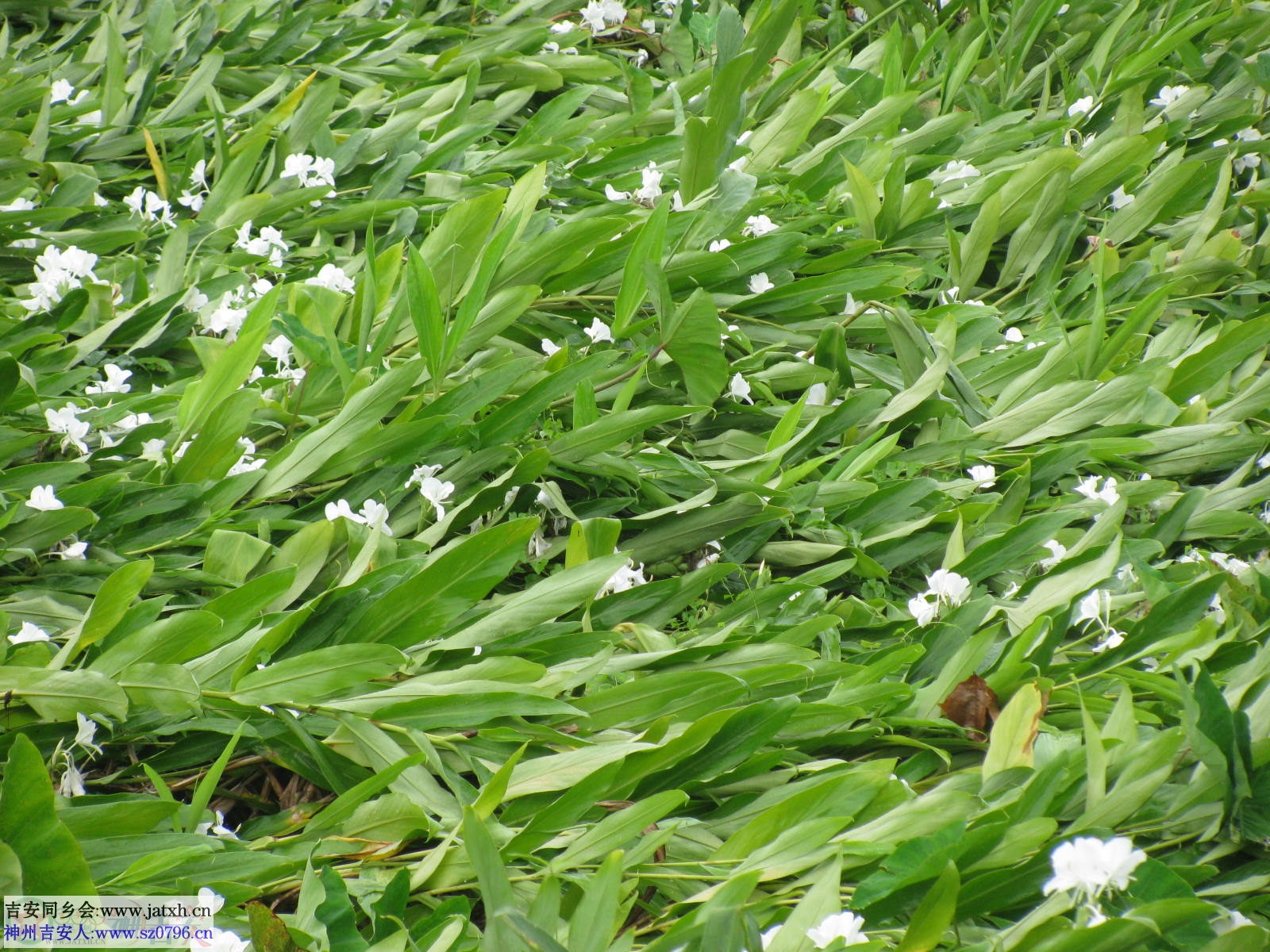 照片 214.jpg