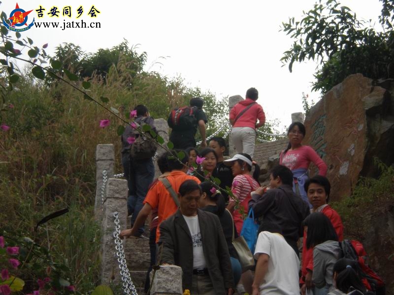 PB290064.JPG
