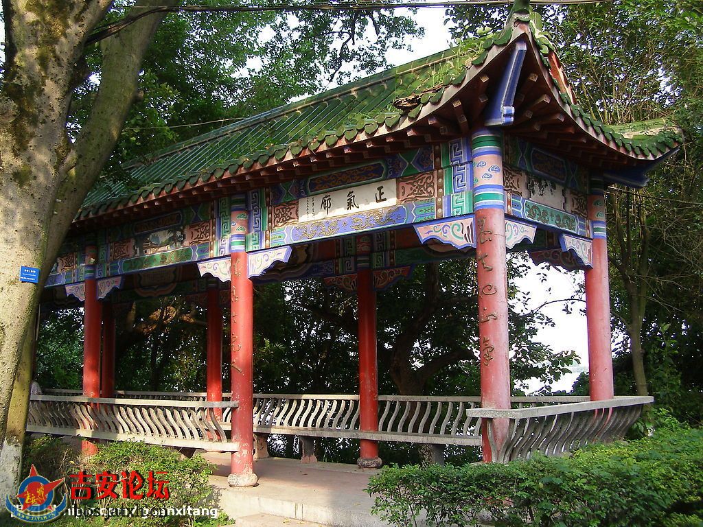 200861701054406_2.jpg