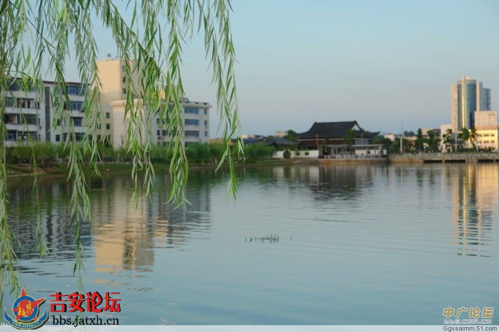 20080714_644e03b47b126b4cebefjIVyKWFbMRHL.jpg